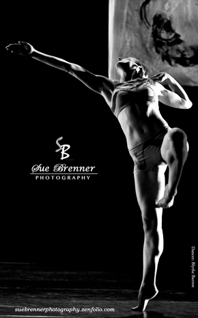 Sue Brenner Photography